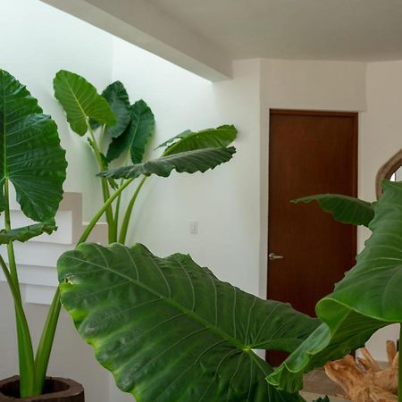 Ferienwohnung Recamara 5 Tulum Cancún Exterior foto