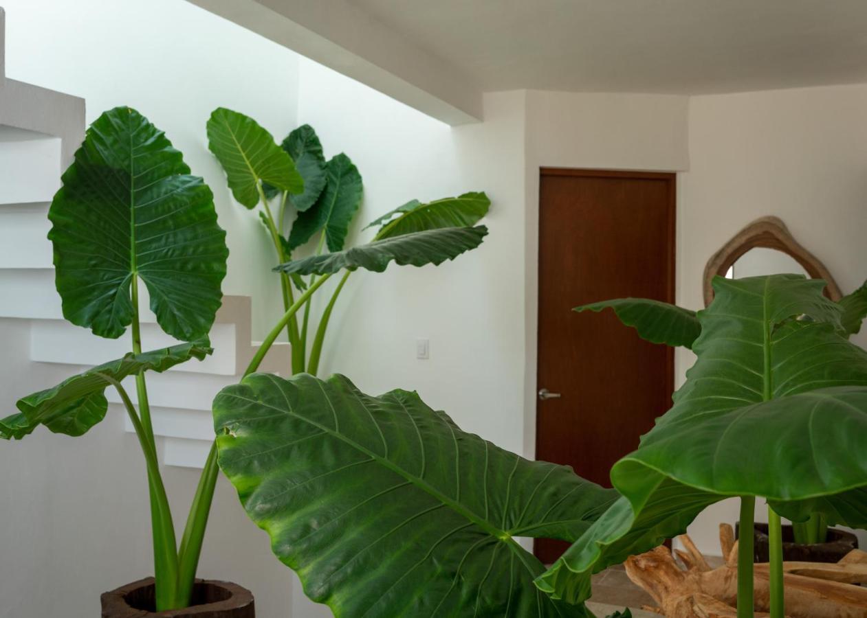 Ferienwohnung Recamara 5 Tulum Cancún Exterior foto